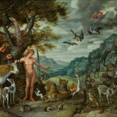 Die Schöpunfg. Gmälde von Jan Breughel d. J.