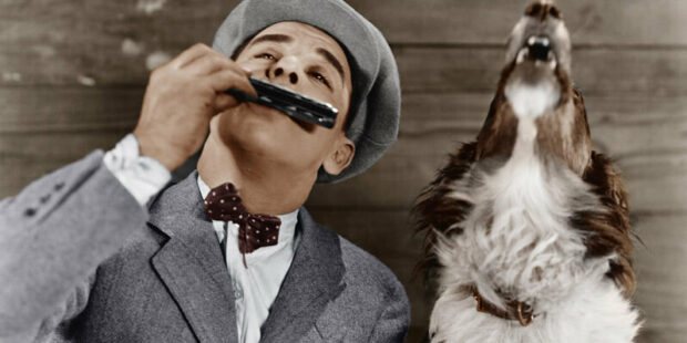 Mundharmonikaspieler und Hund
