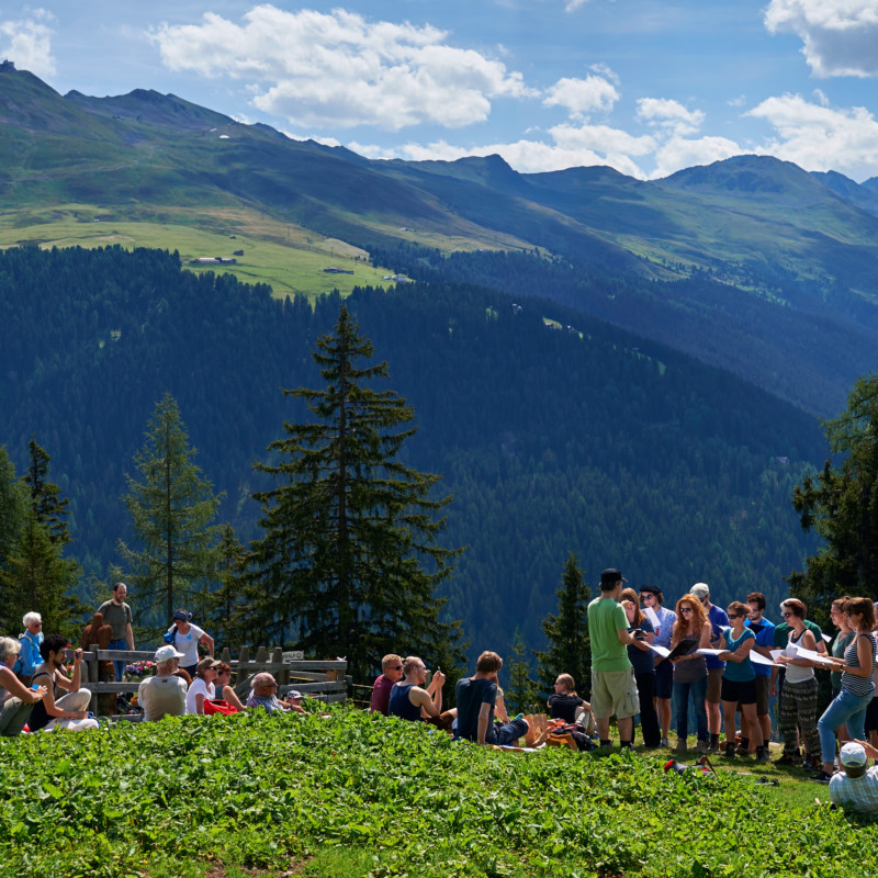 Davos Festival