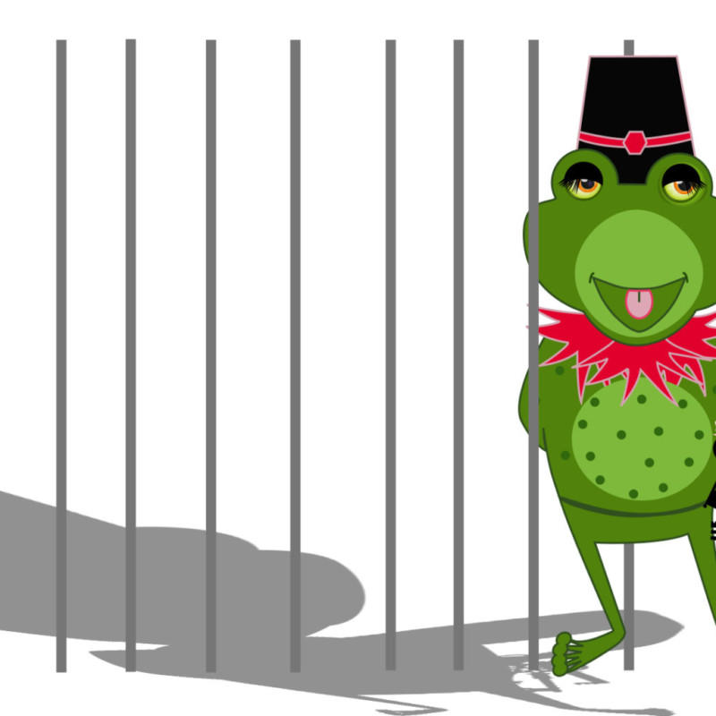 Grafik zum Operettenpreis des BR: "Frosch des Jahres"