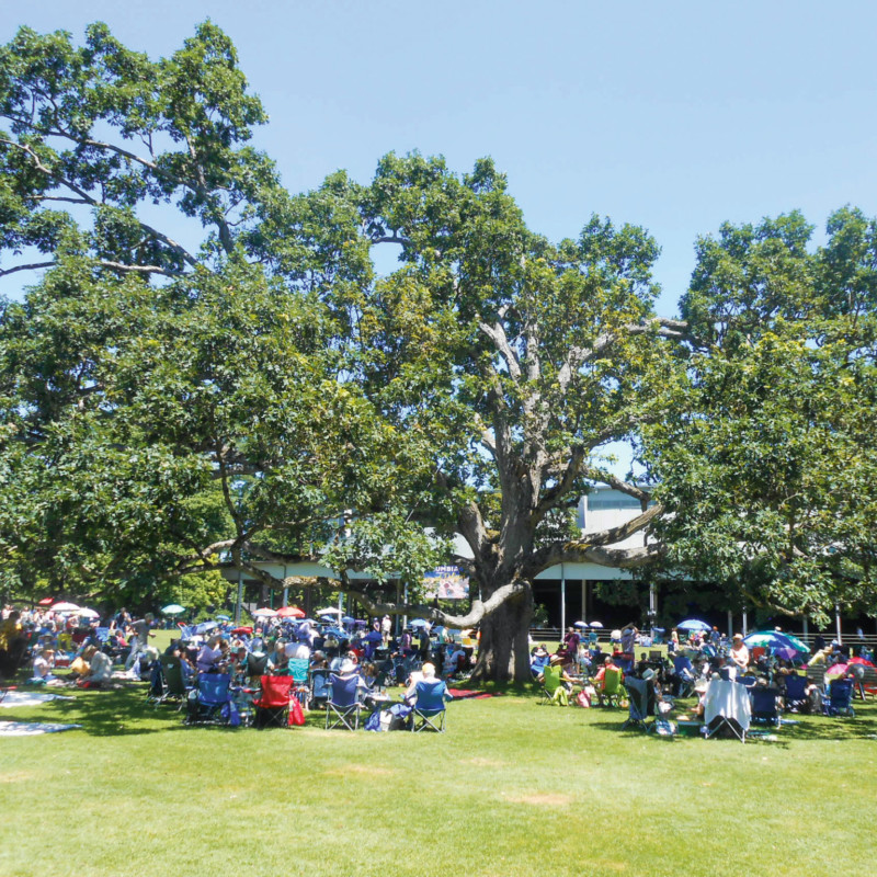 Picknick vor der Koussevitzky Shed