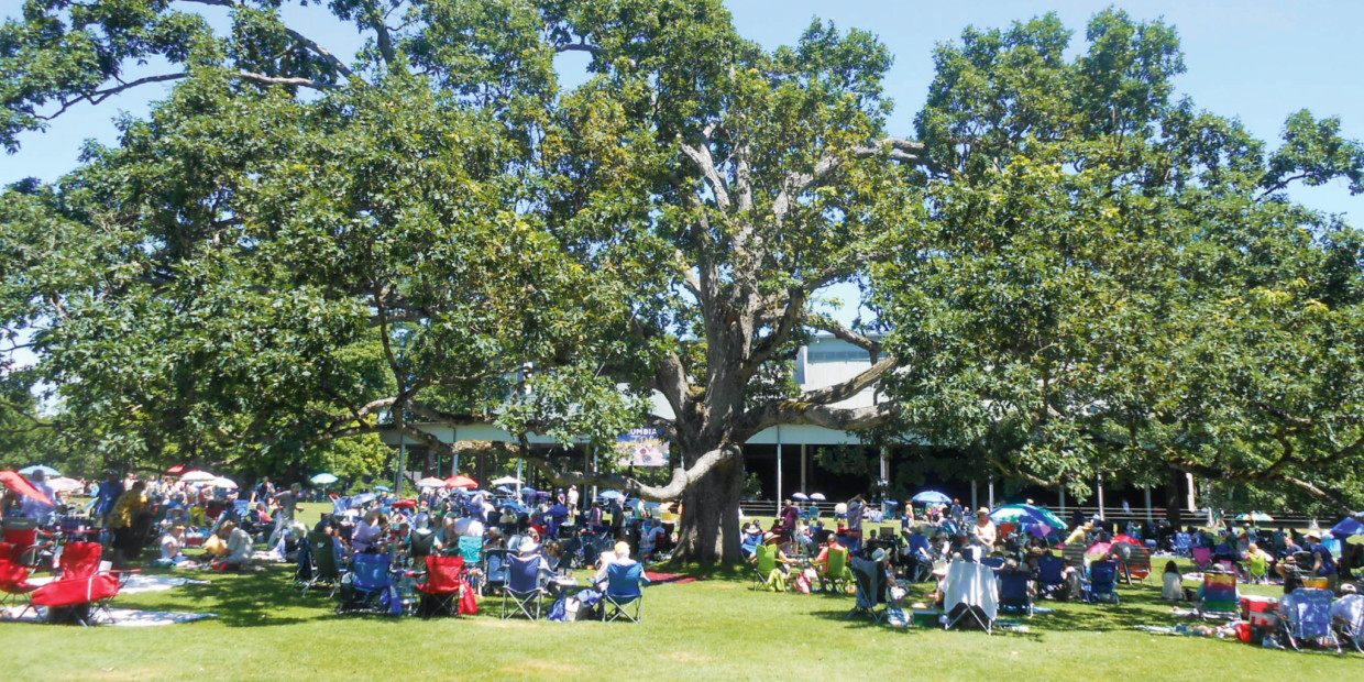Picknick vor der Koussevitzky Shed