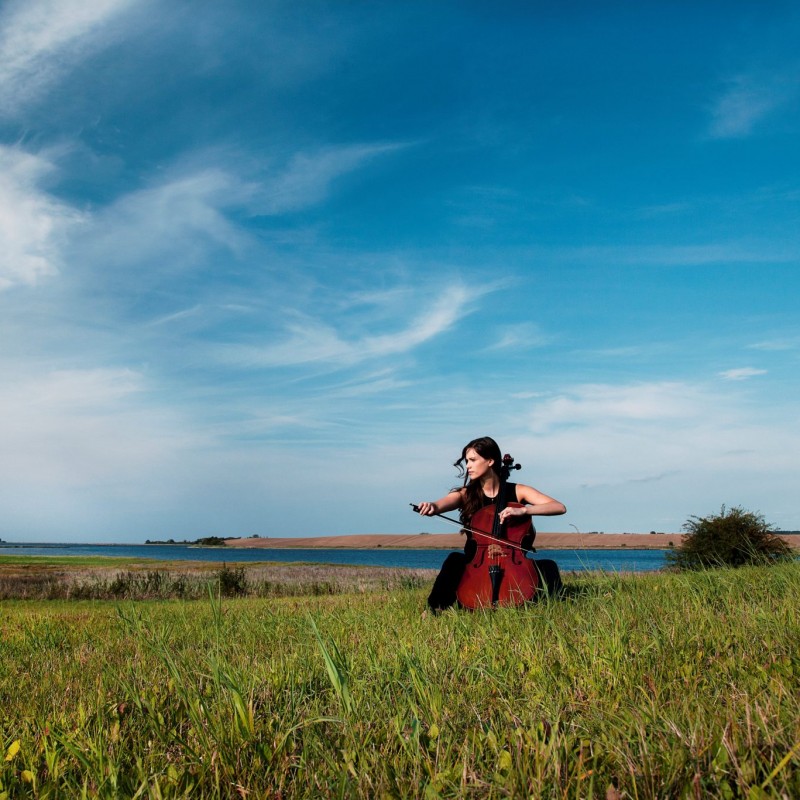 Festspiele Mecklenburg-Vorpommern