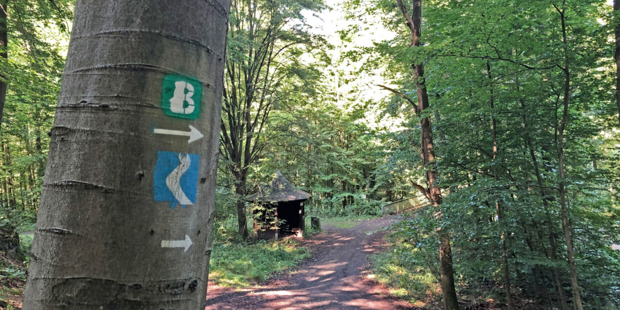 Der Beethoven-Wanderweg im Siebengebirge