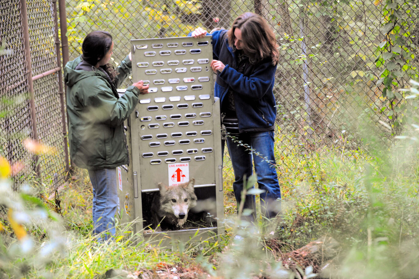 Hélène Grimaud setzt sich für den Tierschutz ein