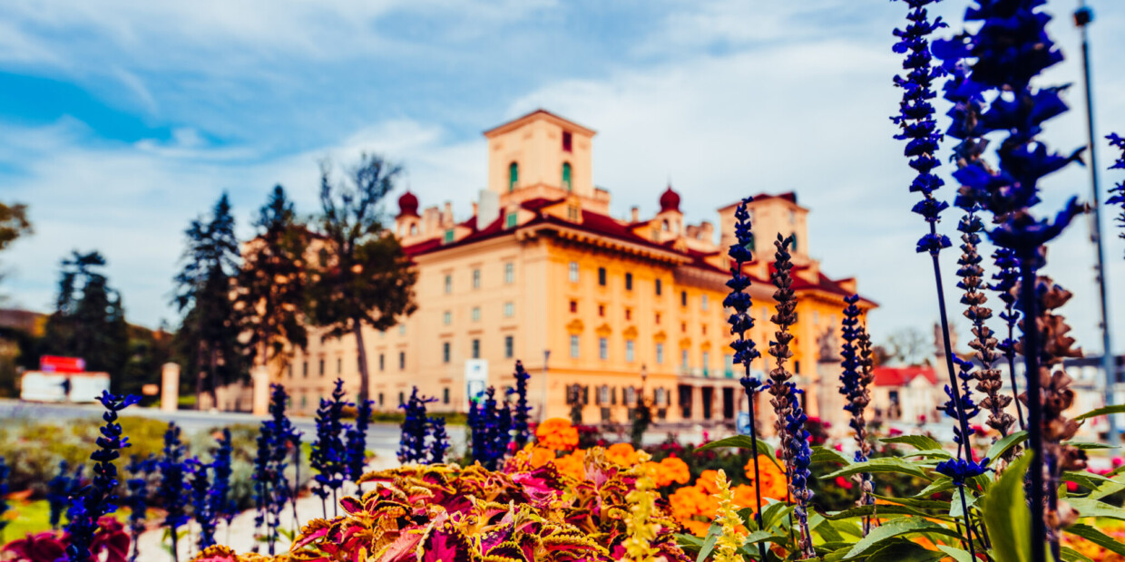 Schloss Esterházy