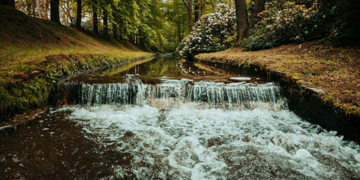 „Flusslandschaft des Jahres 2020 bis 2023“: Nahe der Quelle präsentiert sich die Weiße Elster noch in schlanker Beschaulichkeit