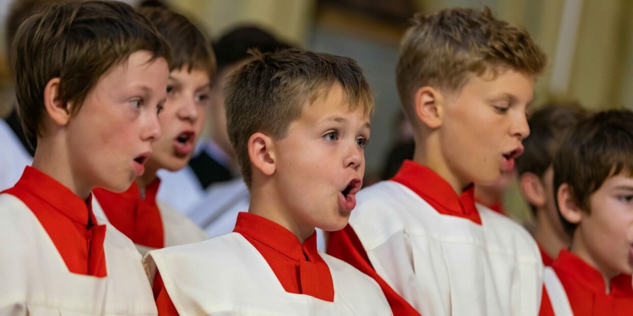 Auch bei den Regensburger Domspatzen soll es schon bald einen Mädchenchor geben