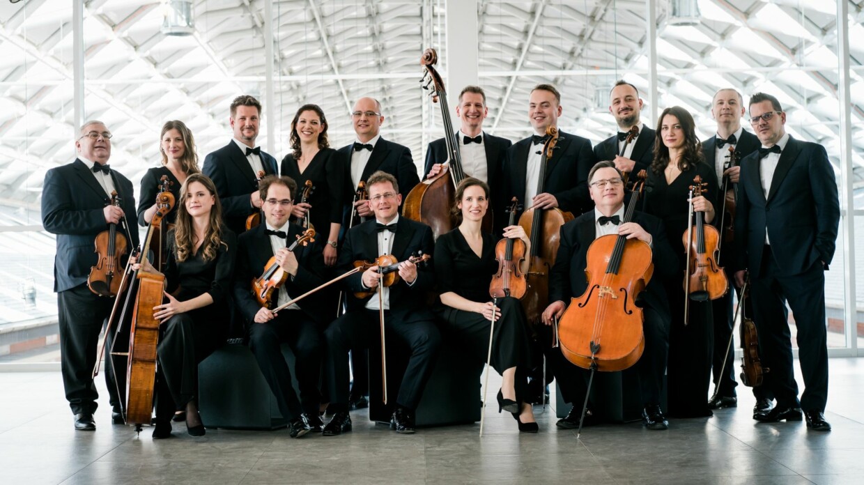 Lupenreine Akustik genießen