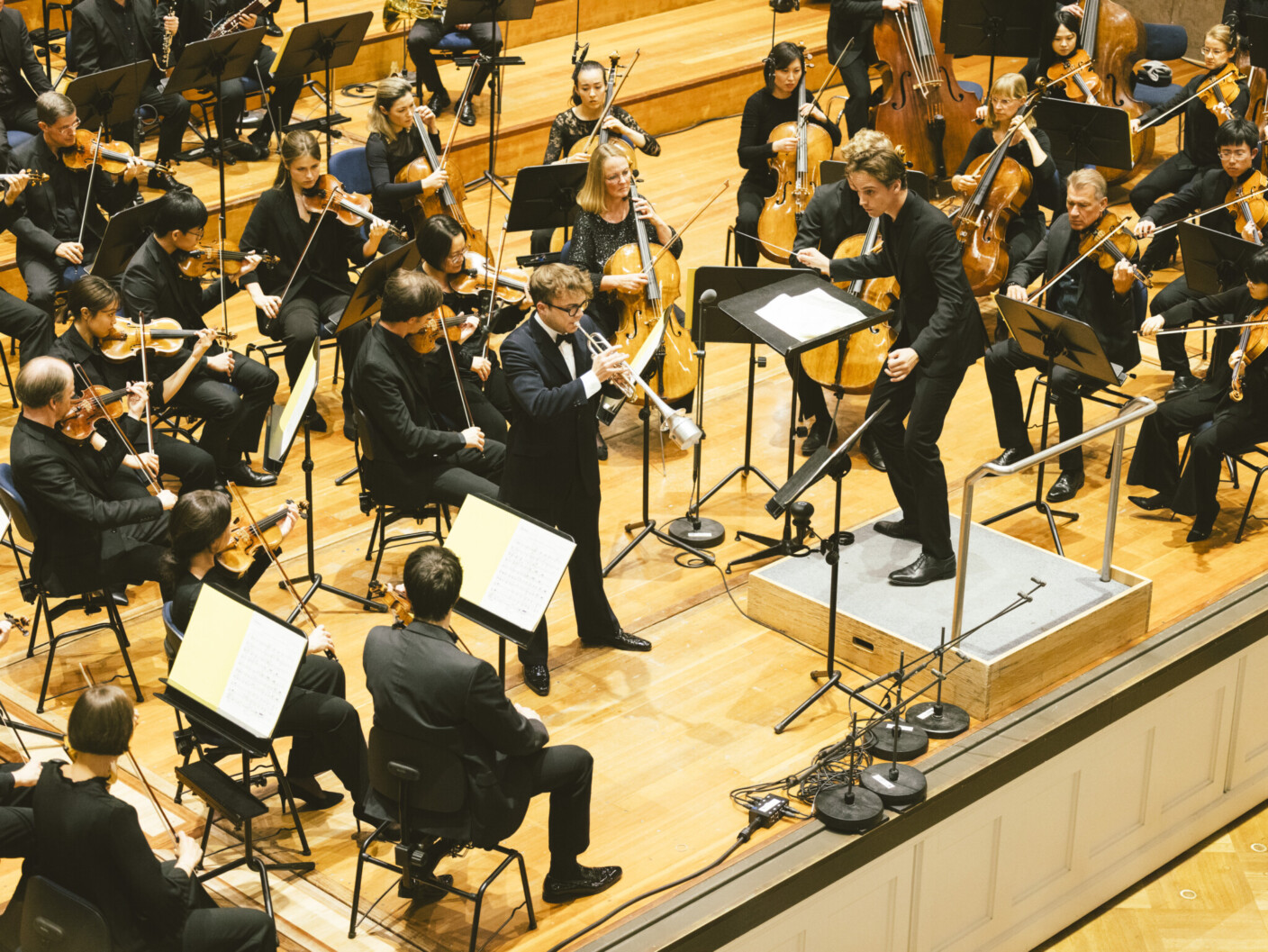 Exzellenz und Kultur der zurückhaltenden Töne