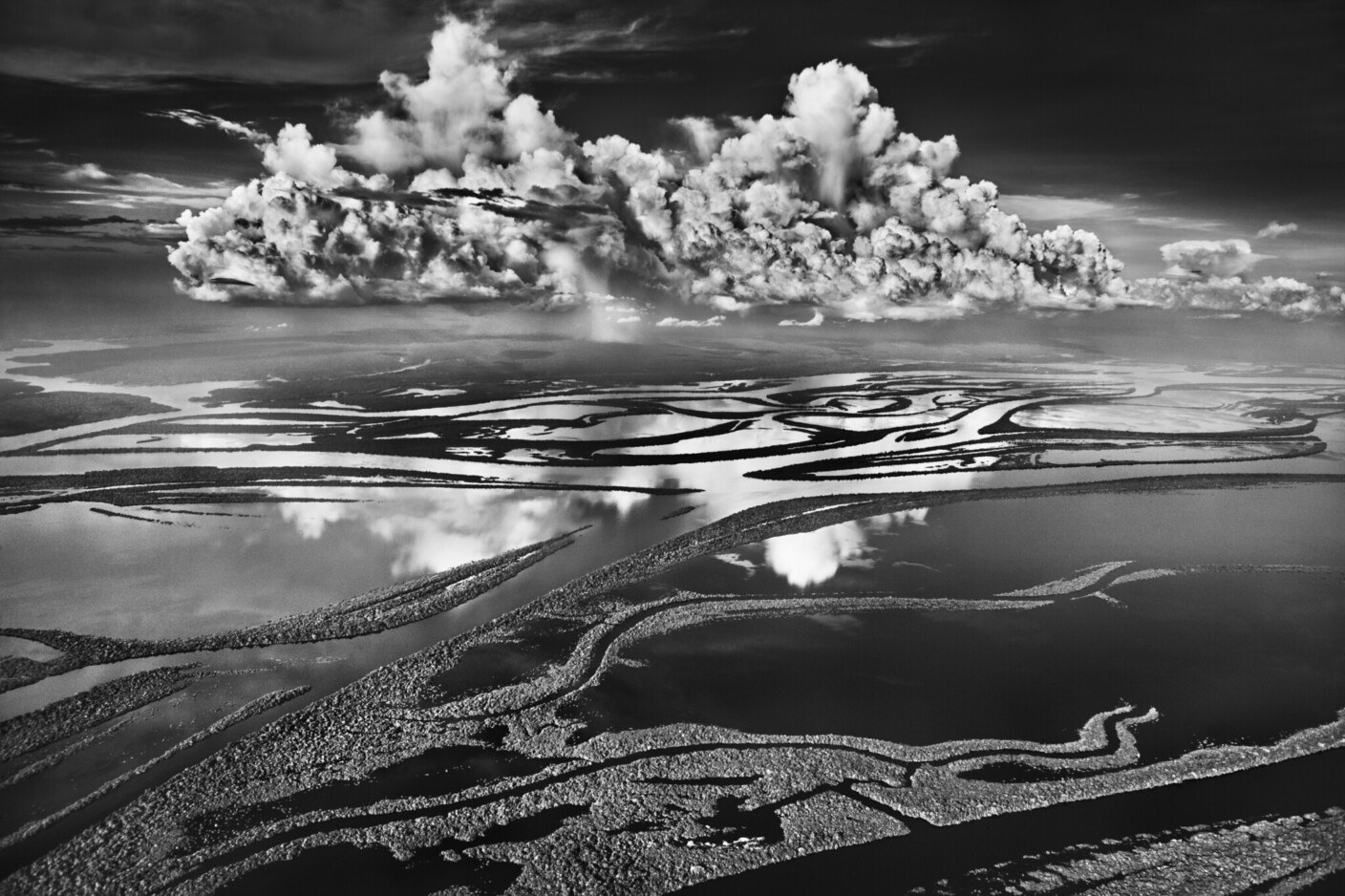 Unvergleichliches Juwel in Amazonien: der Anavilhanas-Naturpark