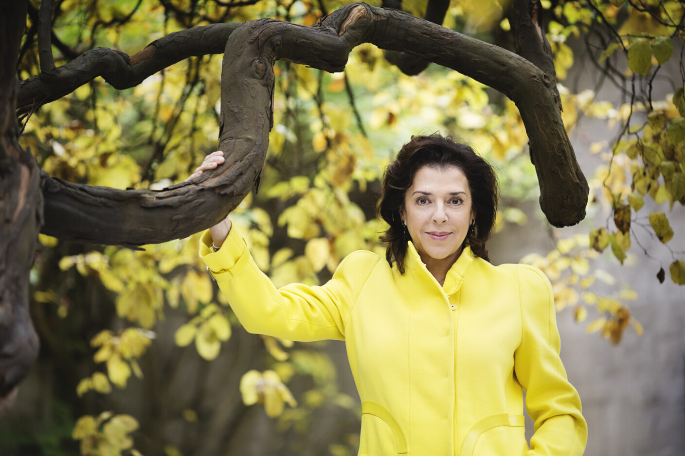Ein unverwechselbares musikalisches Biotop