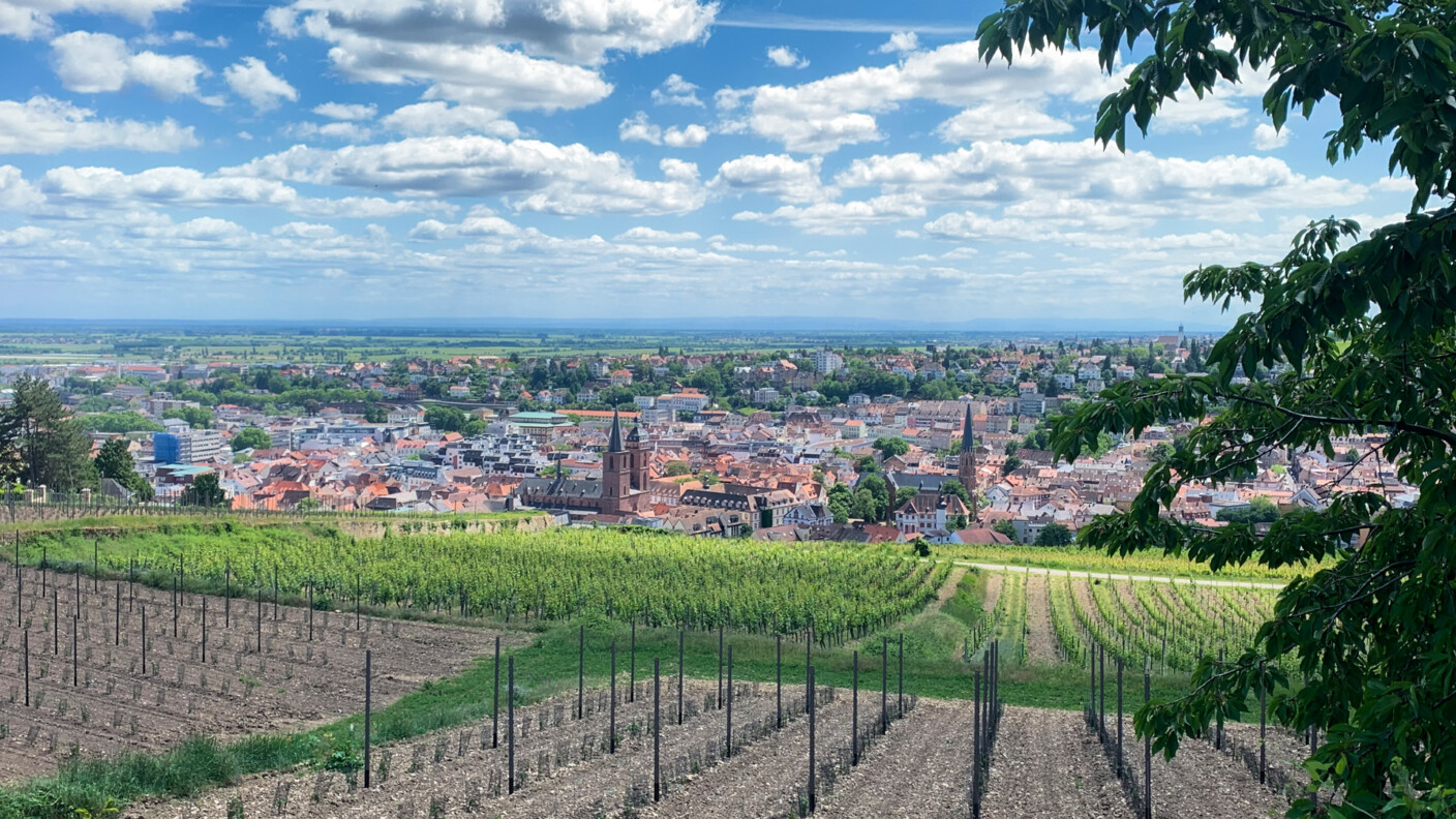 Eine Reise um die Welt im Herzen der Pfalz