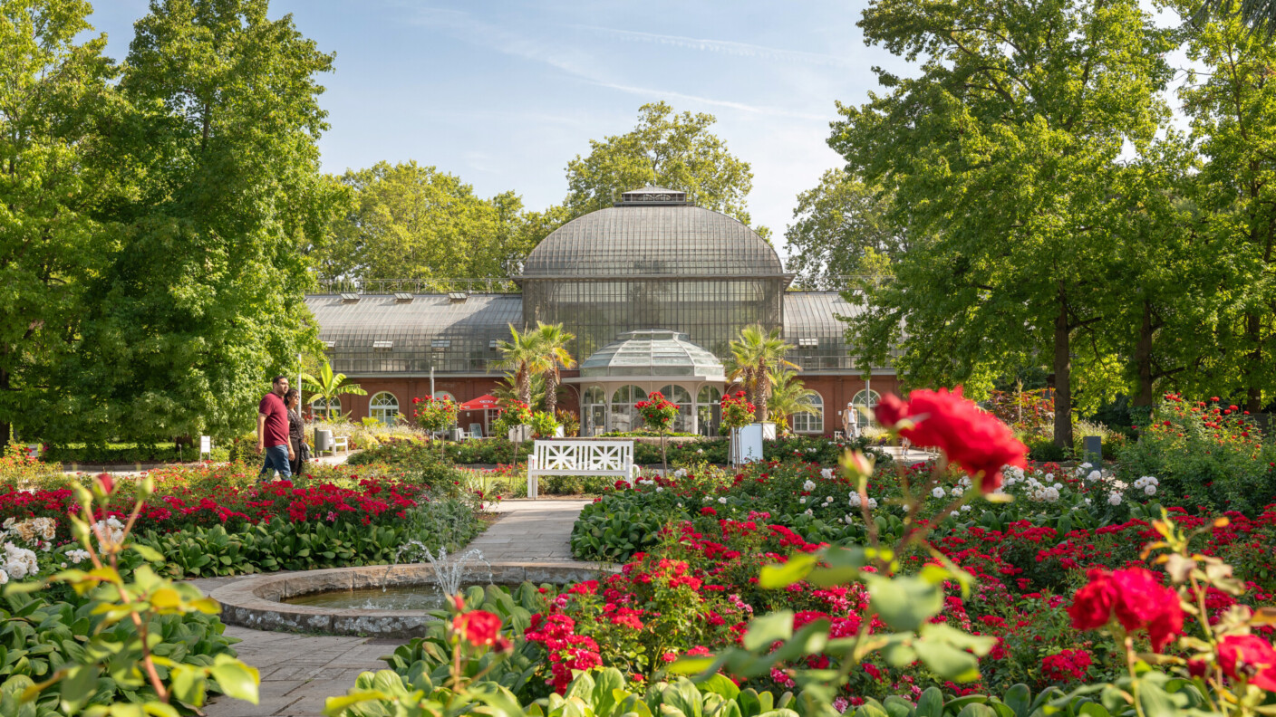 Palmengarten Frankfurt